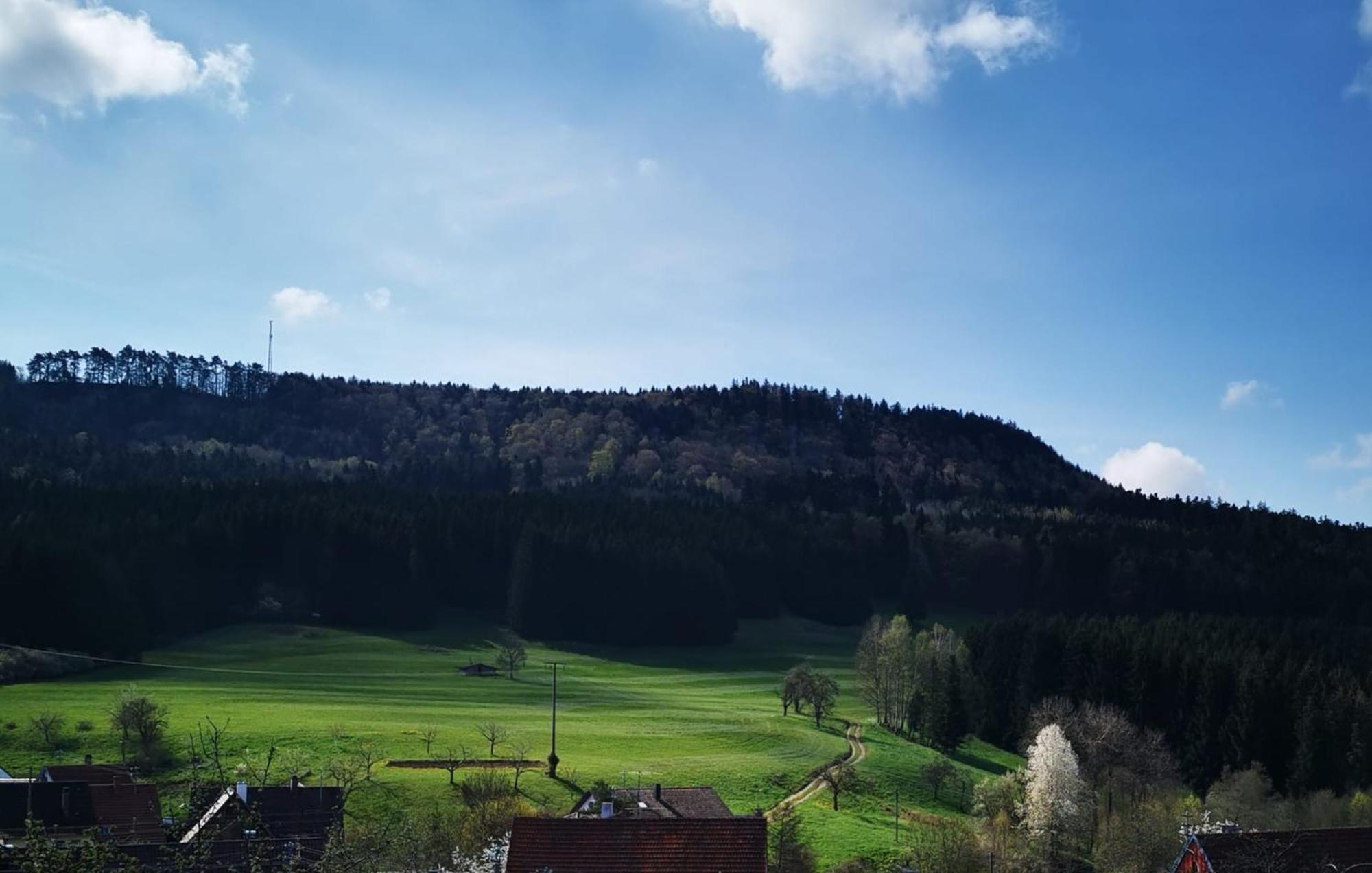 Ferienwohnung Blick Rappenstein Hausen am Tann Eksteriør bilde